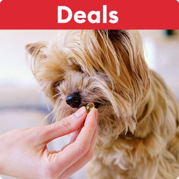 Deals callout on a red banner & a pet parent giving a vitamin to a small dog