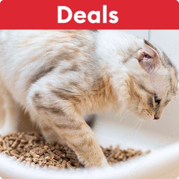 Deals callout on a red banner & a cat scratching at a litter box