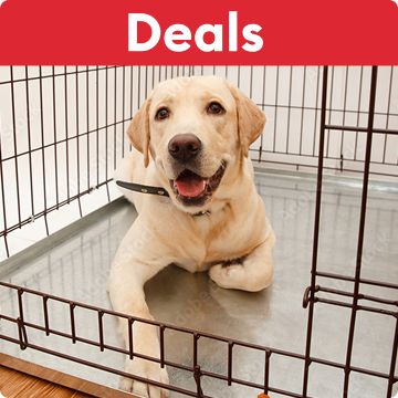 Deals callout on a red banner & a dog laying inside an open wire crate