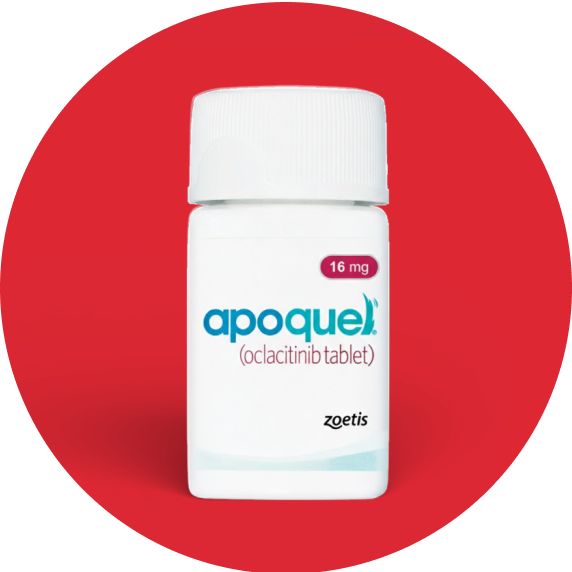 Apoquel Tablets