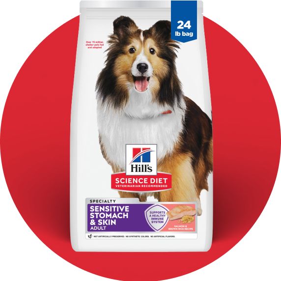 Bag of Hill's Science Diet dog food