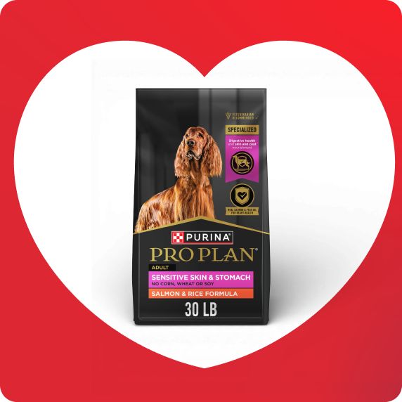 Bag of Purina Pro Plan dog food