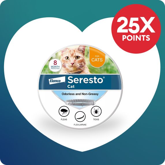 Seresto cat flea & tick collar