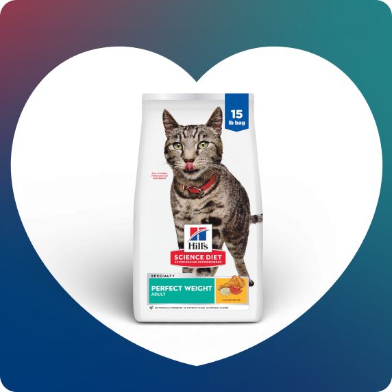 Hill's Science Diet Perfect Weight Adult Dry Cat Food