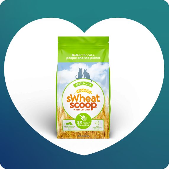 sWheat Scoop Clumping Multi-Cat Wheat Cat Litter