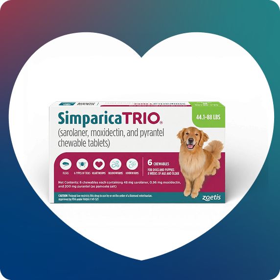 Simparica Trio flea & tick chewable tablets