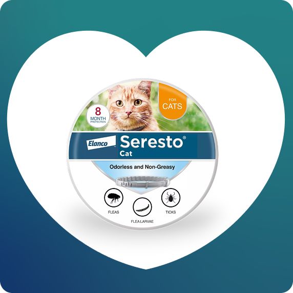 Seresto cat flea & tick collar
