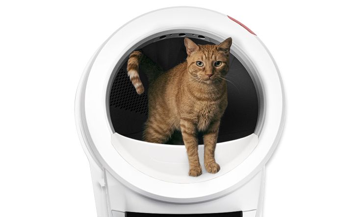 Litter-Robot 4 Automatic Self-Cleaning Cat Litter Box