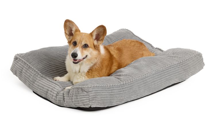 Top Paw Cozy Pillow Dog Bed