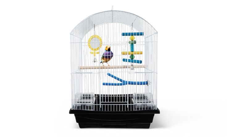 All Living Things Bird Cage
