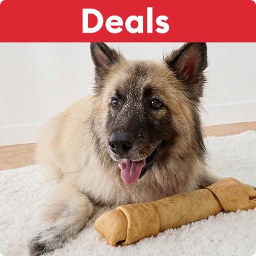 Deals callout & a German Shepherd lying with a chew bone