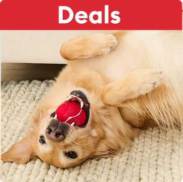 Deals callout & a Golden Retriever lying on their back with a red ball in their mouth
