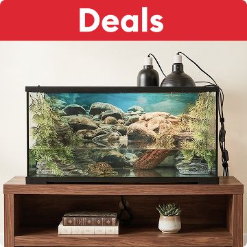 Dealls callout & an aquarium with turtles, basking lights & decor on a wooden stand