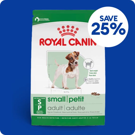 Save 25% callout & a bag of Royal Canin small dog food
