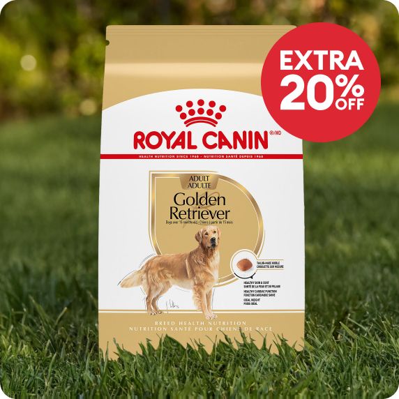 Extra 20% off callout & a bag of Royal Canin dog food
