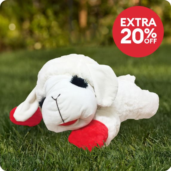 Extra 20% off callout & a Multipet Lamb Chop Plush Squeaker Dog Toy