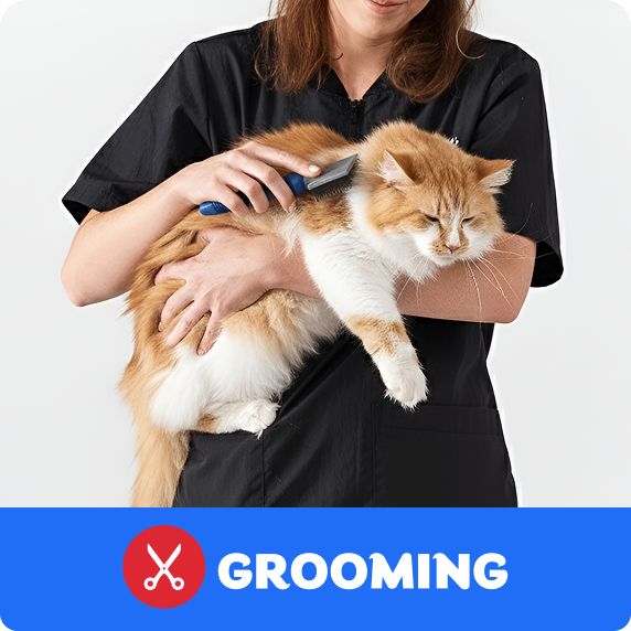 Grooming logo & a salon associate holding a cat & brushing them