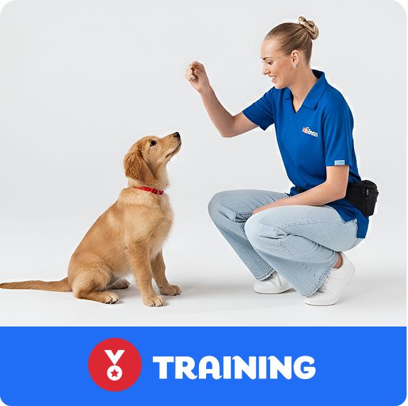 Training logo & a trainer working with a puppy