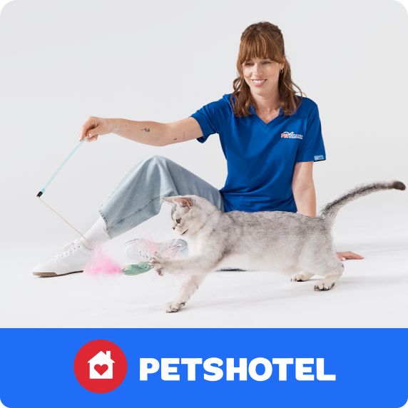 PetsHotel logo & a PetsHotel associate playing with a cat