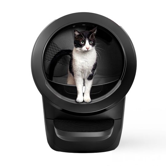Cat standing in a Litter-Robot automatic litter box