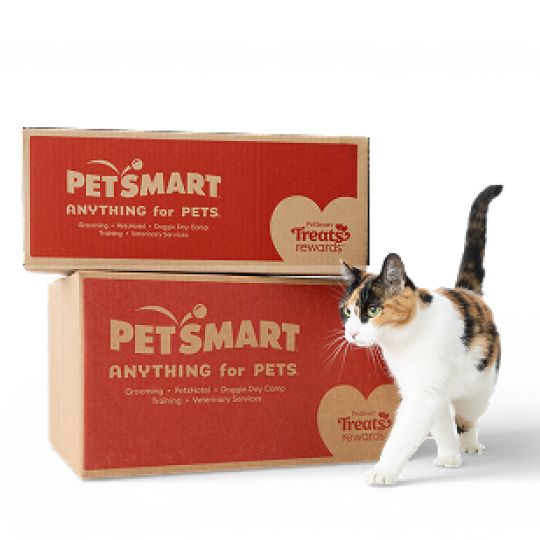 Cat walking by two PetSmart boxes