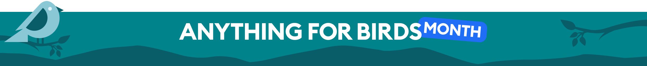 Teal banner with bird graphic & the text, Anything for Birds Month