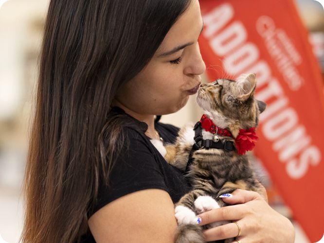 A woman holding a kitten & giving them a kiss
