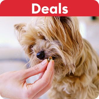 Deals callout & a small dog being hand-fed a treat