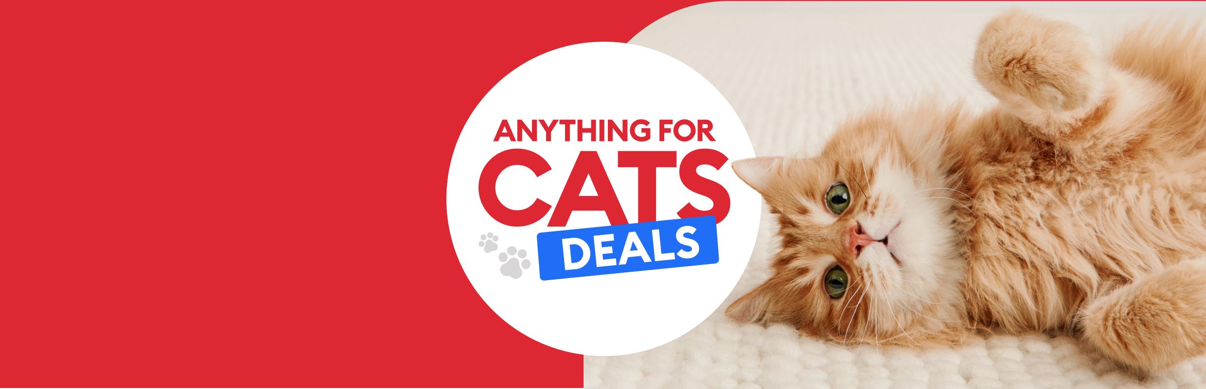 Orange tabby cat lying on their back with paws up next to text that reads, Anything for Cats Deals