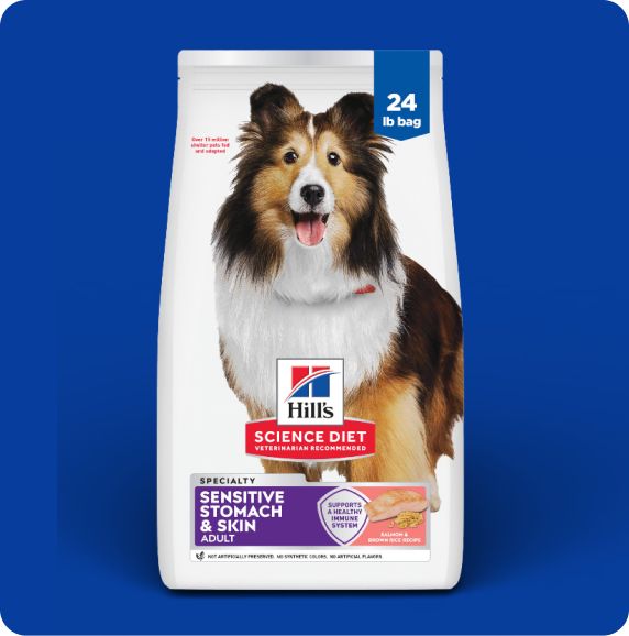 Bag of Hill's Science Diet dog food