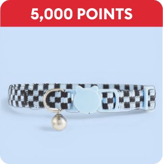 5,000 points callout & a cat collar