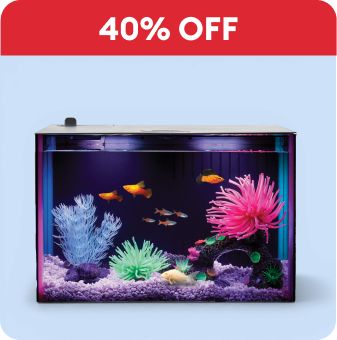 40% off callout & a Top Fin starter kit
