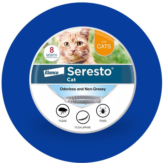 Seresto 8-Month Flea & Tick cat collar