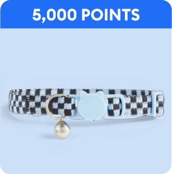 5,000 points callout & a cat collar