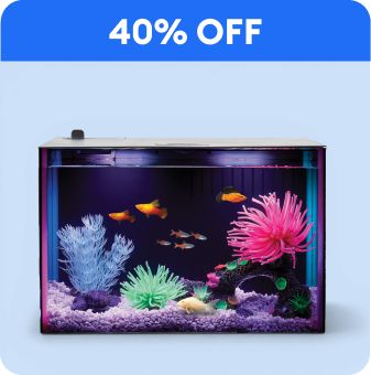 40% off callout & a Top Fin starter kit