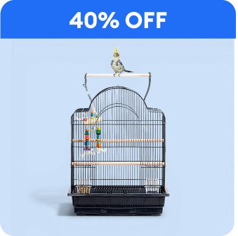 40% off callout & a bird cage