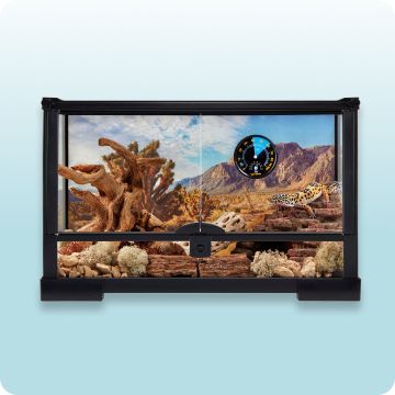 Thrive Open-Glass Terrarium