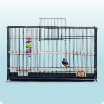 All Living Thing bird cage