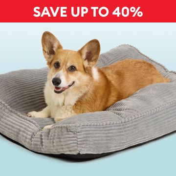 Dog laying in a bed & the callout, Save up to 40%