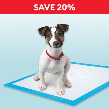 Dog standing on a disposable pad & the callout, Save 20%