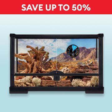 Thrive Open-Glass Terrarium & the callout, Save up to 50%