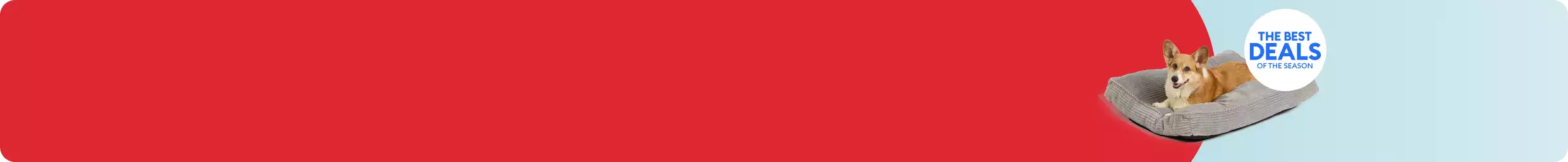 Dog laying in a bed & the callout, The Best Deals of the Season