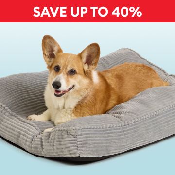 Dog laying in a bed & the callout, Save up to 40%