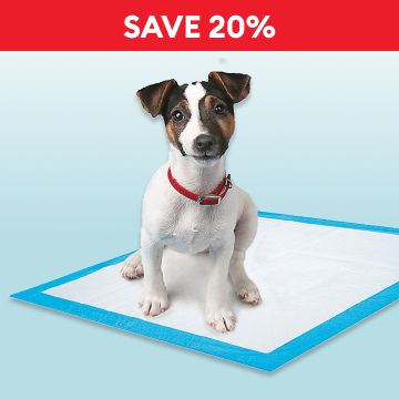 Dog standing on a disposable pad & the callout, Save 20%