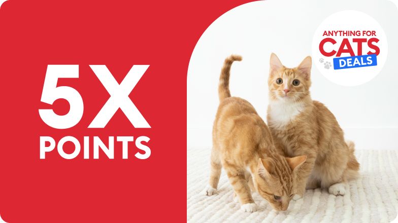 5X points, Anything for Cats Deals with 2 orange cats