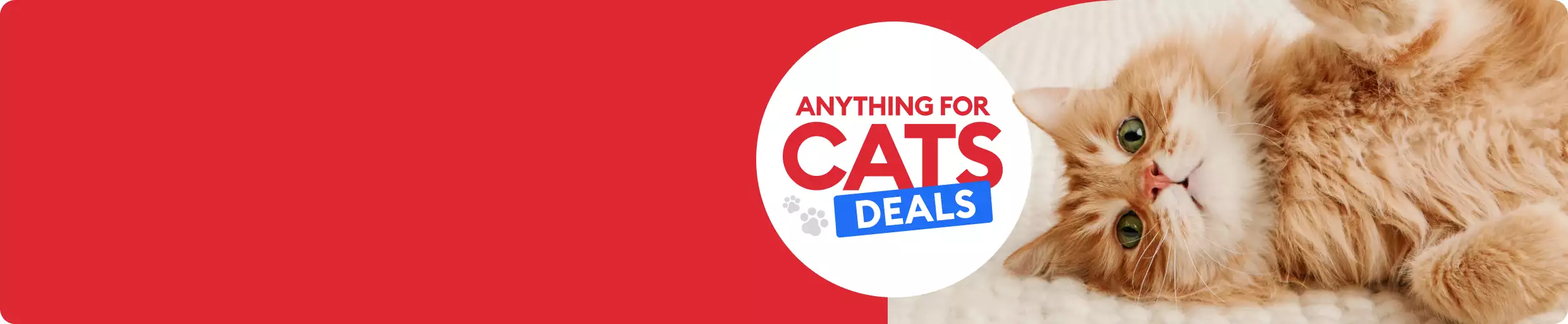 Anything for Cats Deals with orange tabby and paws up