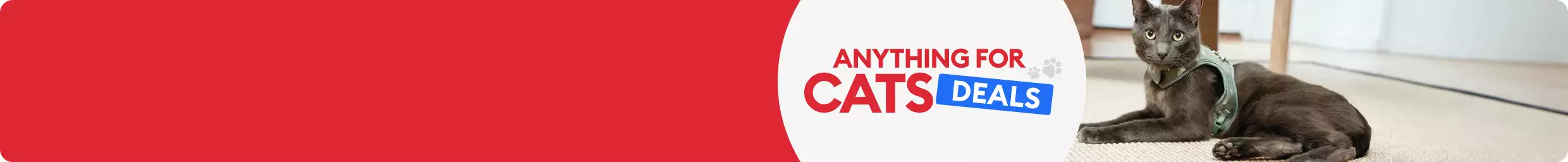 Anything for Cats Deals with collar, harness & leash