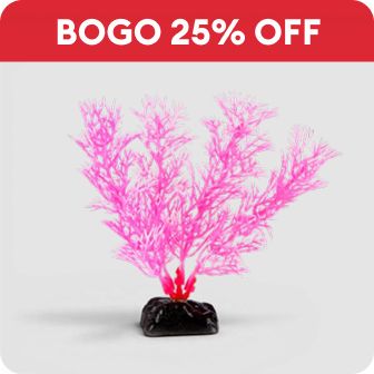 Aquatic Ornament Pink Fushia Tree