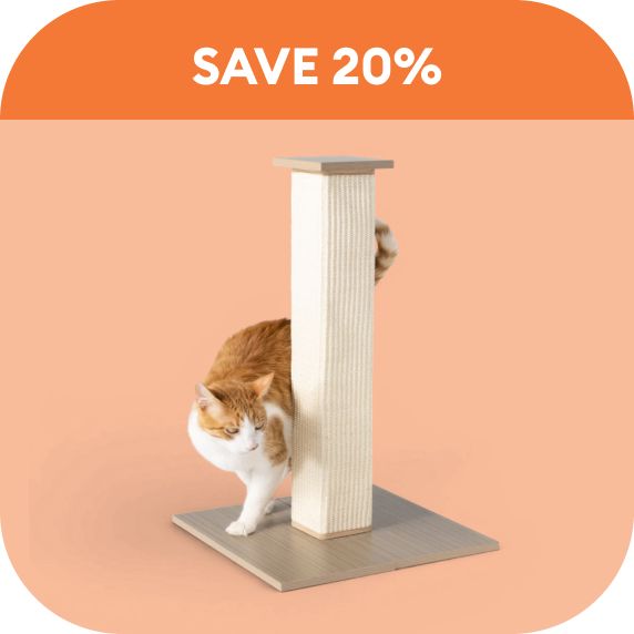 Whisker City Cat Scratcher tower orange background