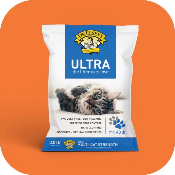 Cat litter bag Ultra orange background cat laying down